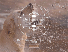 Tablet Screenshot of derijdendetrimsalon.nl